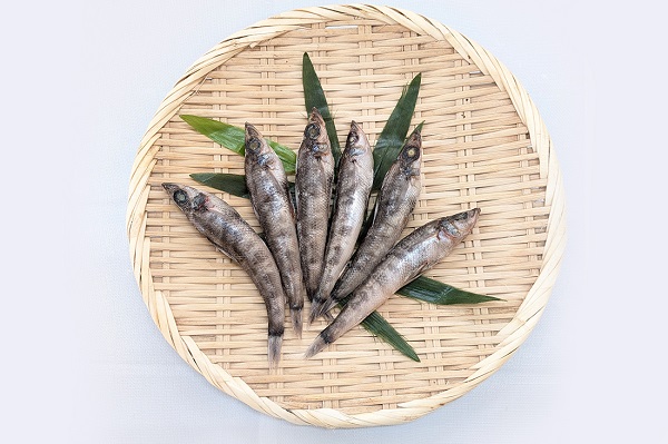 新発売　海神　メヒカリ丸干し