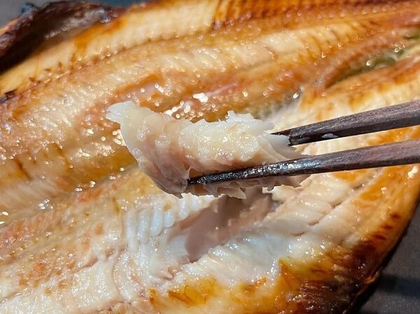 迷った時の参考に！海神のシマホッケサイズ選びガイド